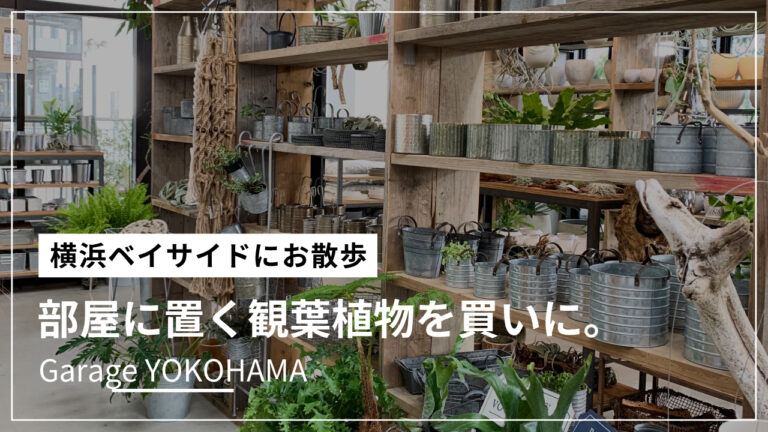 ガレージ 横浜 観葉植物好きにはたまらない 魅力をまとめてみた Furutimes フルタイムズ